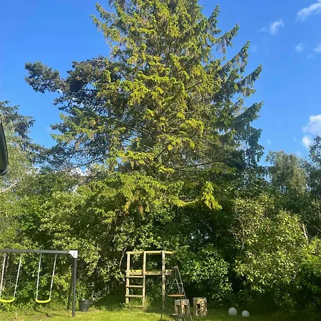 Charming In - Close To * Stege